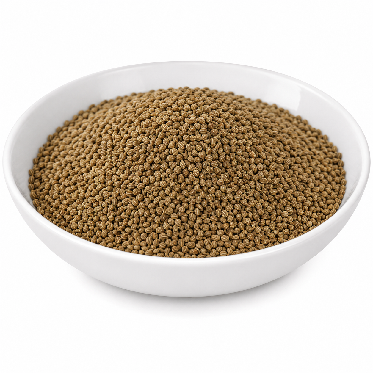 Ajmoda-Beej-Apium-Graveolens-Wild-Celery-Seeds-Shalari-Tukham-Karfas-Indian-Stone-Parsley-Van-Ajwain-Junglee-Ajwine-Jungli-Ajwine-Pahadi-Ajwine