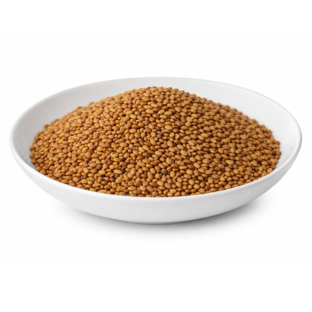 Alfalfa Fodder (Seeds) - Medicago Sativa - Lucerne Grass Seeds for Sprouting