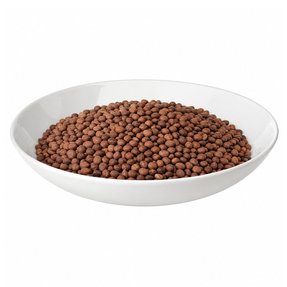 Beej Mooli (Edible) - Beej Muli - Mula Beej - Radish Seeds - Raphanus Sativus