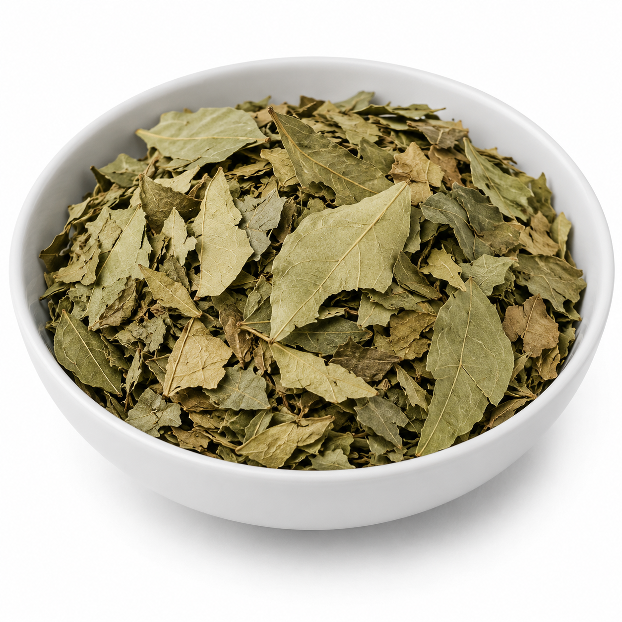 Kadi (Patta) - Kari Leaf - Meetha Neem - Curry Leaves - Murraya Koenigii