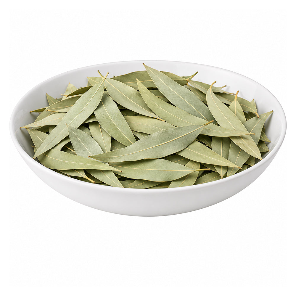 Nilgiri (Patta) - Eucalyptus (Leaves) - Eucalyptus Globulus