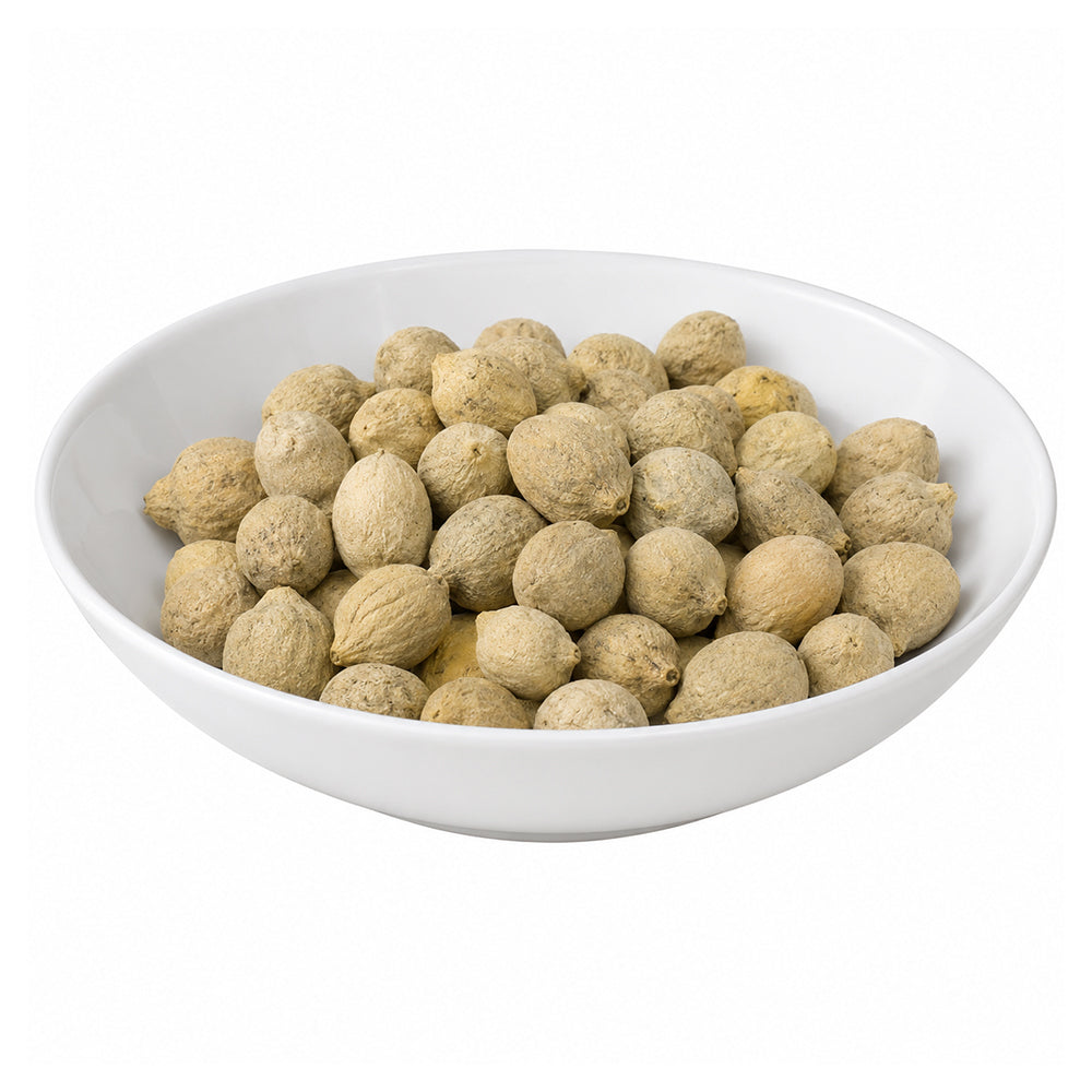 Putrajeevak (Beej) - Jiya Pota (Seeds) - Putra Jivak Beej - Putra Jeevak Beej - Putranjiva Roxburghii - Lucky Bean - Drypetes Roxburghii
