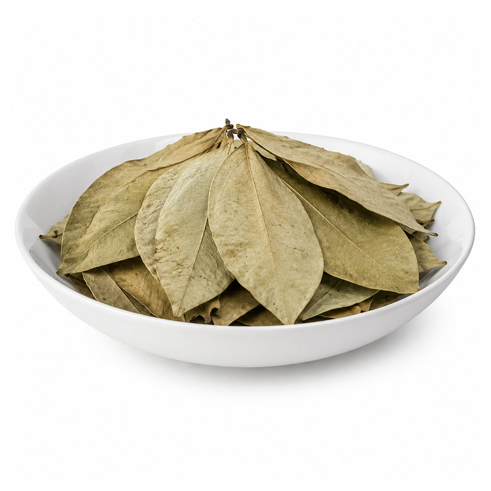 Soursop (Dried) (Leaves) - Annona Muricata - Lakshman Phal - Graviola - Hanuman Phal - Ramphal - Prickly Custard Apple - Sour Sop