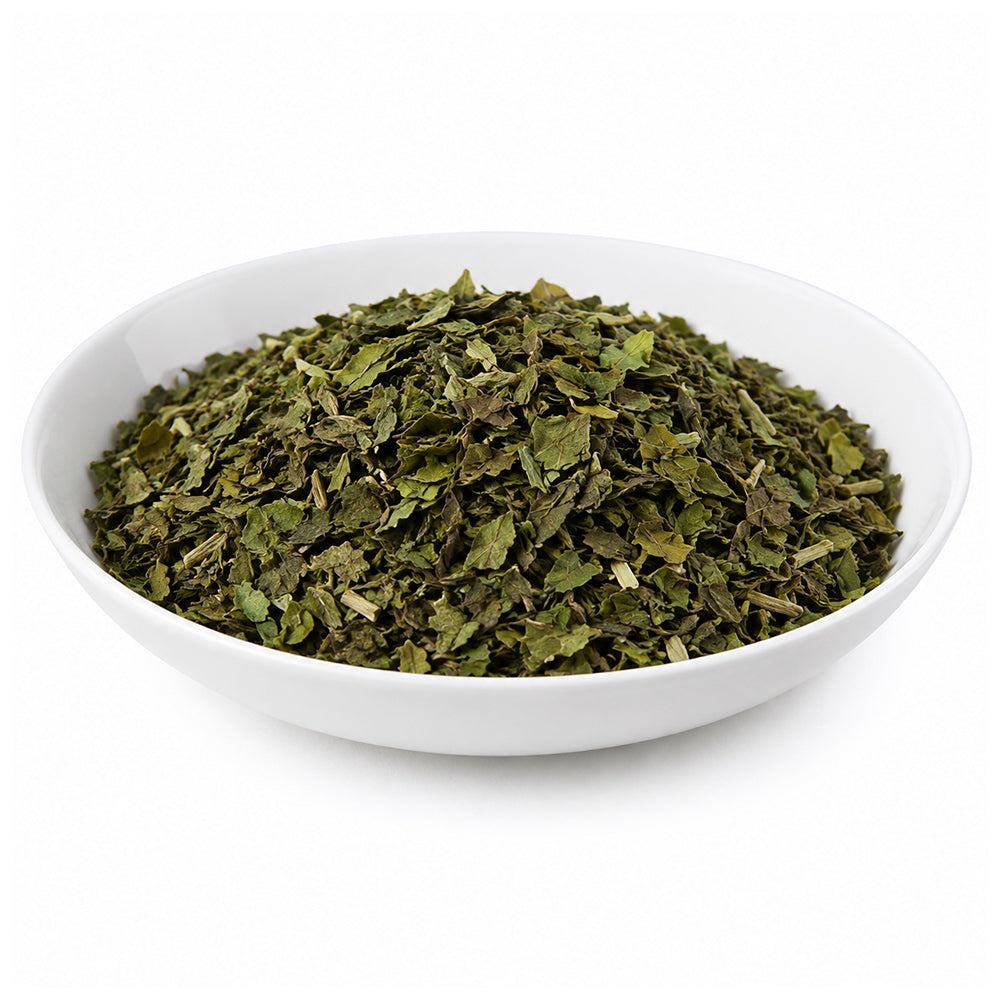 Adusa Vasaka (Leaf) - Adhatoda Vasica - Adulasa - Wasaka - Bansa Green - Malabar Nut