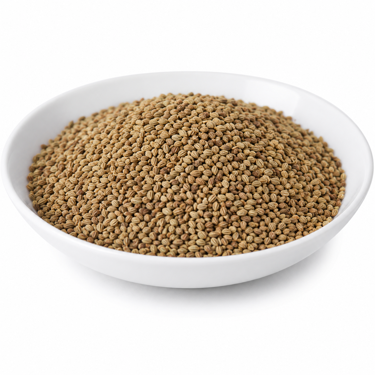 Ajwain (Beej) - Carum Copticum - Carom Seeds - Yavani - Ajowan - Omam- Thymol - Trachyspermum Ammi - Lovage - Bishops Weed