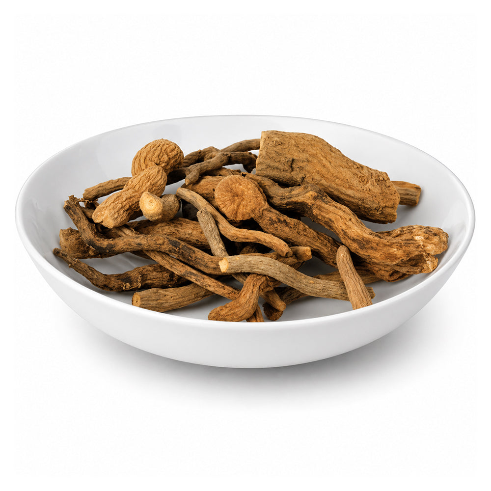 Asrol (Roots) - Asrol (Jadd) - Choti Chandan - Snake Root - Aristolochia Indica