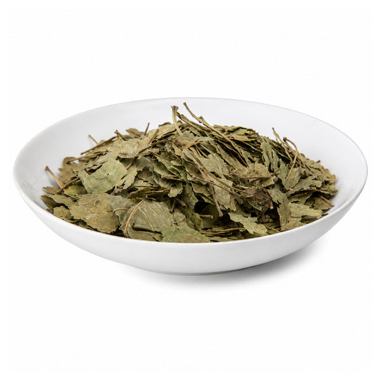 Bel Bael (Leaves) - Bel Patta - Bel Patra - Bailpatr - Bail Patr - Aegle Marmelos