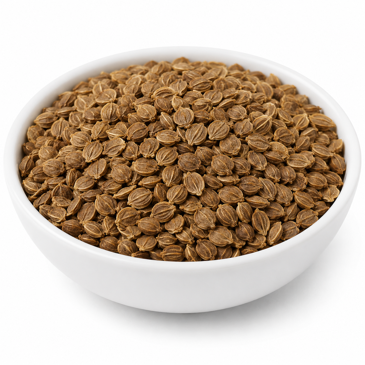 Bidhara (Seeds) (Edible) - Beej Vidhara Asli - Vruddhadaru - Argyreia Nervosa - Elephant Creeper - Argyreia Speciosa - Hawaiian Baby Woodrose - Vriddhadaru - Adhoguda
