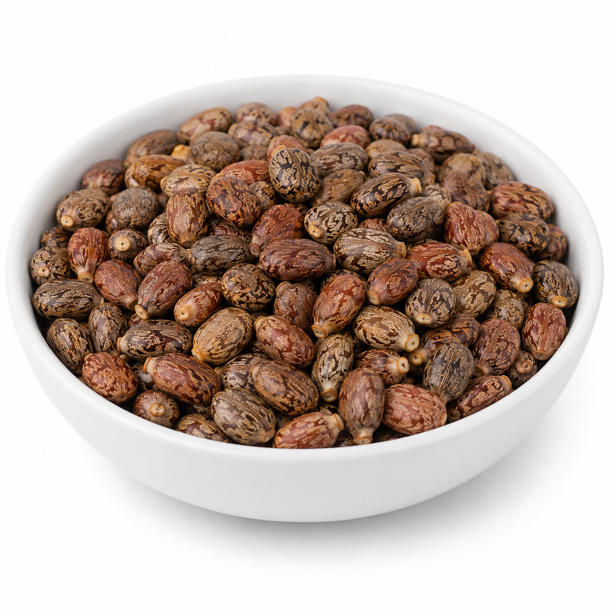 Castor Seeds (Red) - Erandi Beej Lal - Ricinus Communis Seeds