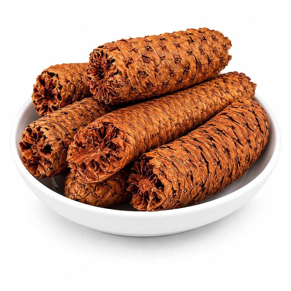 Gaj Pipal - Gajpeepal - Gaj Peepal - Piper Chaba - Java Long Pepper - Scindapsus Officinalis