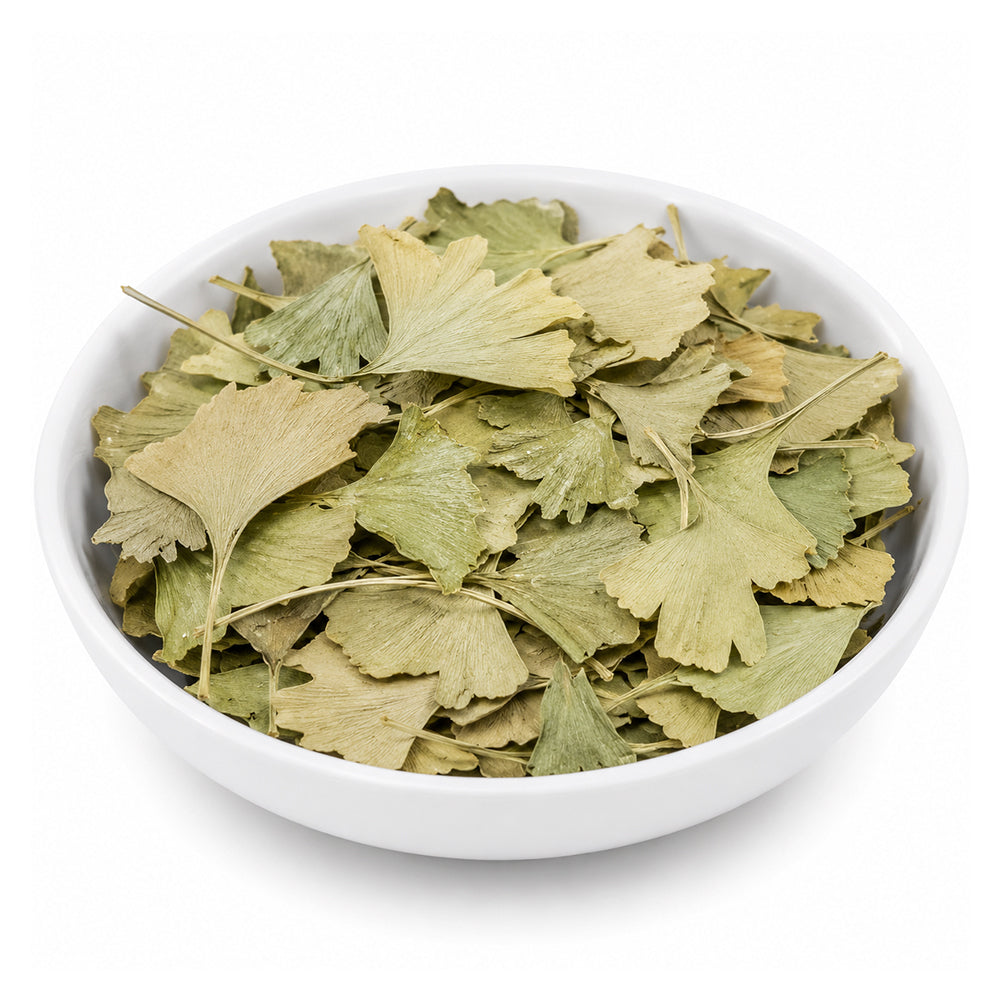 Ginkgo Biloba (Leaves) - Ginko Biloba - Maidenhair Tree