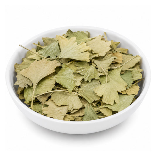 Ginkgo Biloba (Leaves) - Ginko Biloba - Maidenhair Tree