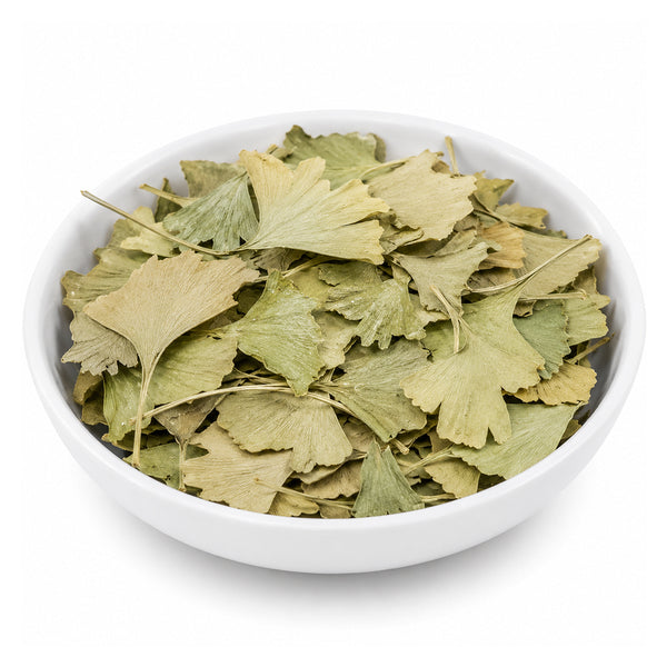 Ginkgo Biloba (Leaves) - Ginko Biloba - Maidenhair Tree