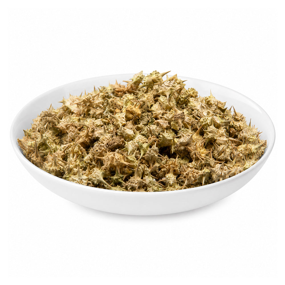 Gokhru (Small) - Bhakra - Bindii - Tribulus Terrestris Seeds - Caltrops - Gokharu (Chota) - Khar e Khasak
