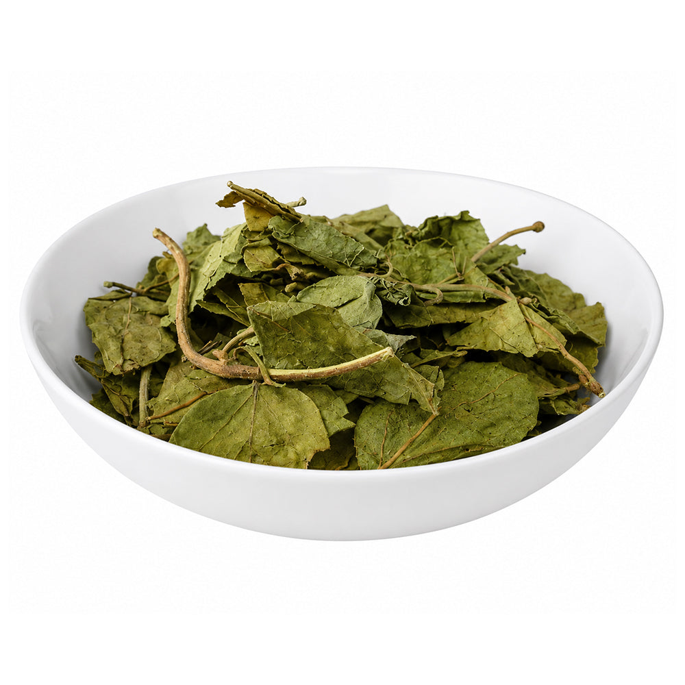 Gurmar (Leaves) - Gudmar - Madhunashni - Meshashringi - Nagapushpi - Gymnema Sylvestre
