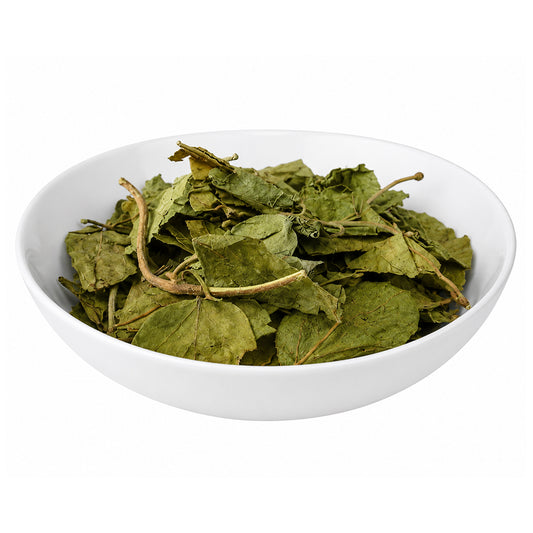 Gurmar (Leaves) - Gudmar - Madhunashni - Meshashringi - Nagapushpi - Gymnema Sylvestre
