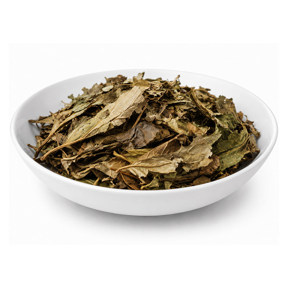 Harsingar (Leaves) - Parijat Leaves - Night Jasmine - Coral Jasmine - Nyctanthes Arbor-Tristis