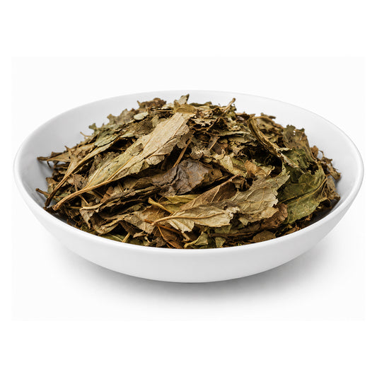 Harsingar (Leaves) - Parijat Leaves - Night Jasmine - Coral Jasmine - Nyctanthes Arbor-Tristis