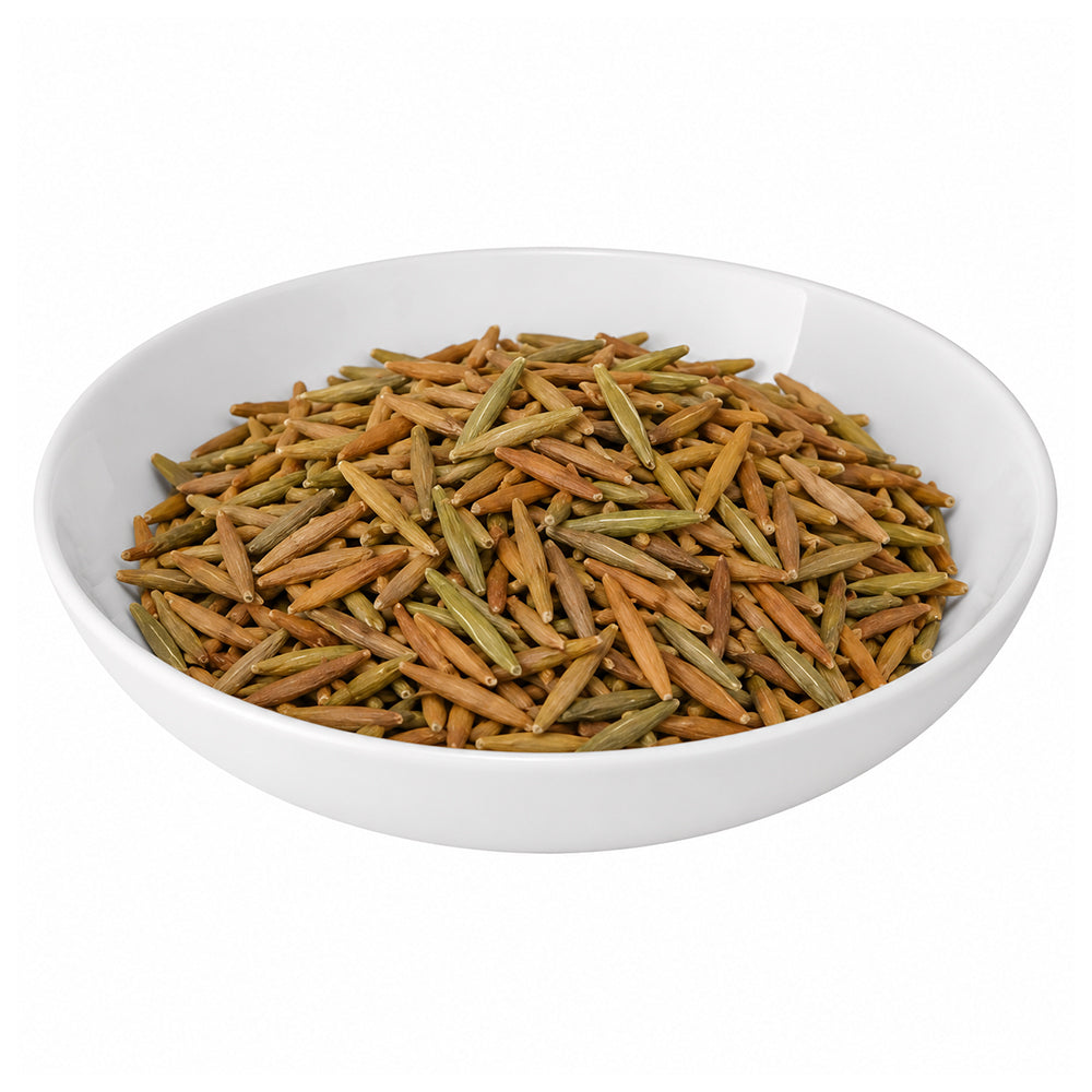 Indrajau (Meetha) - Coneru - Kutaja - Inderjo Mitha - Indrajav Meetha - Dudhi - Sweet Indrajao - Wrightia Tinctoria