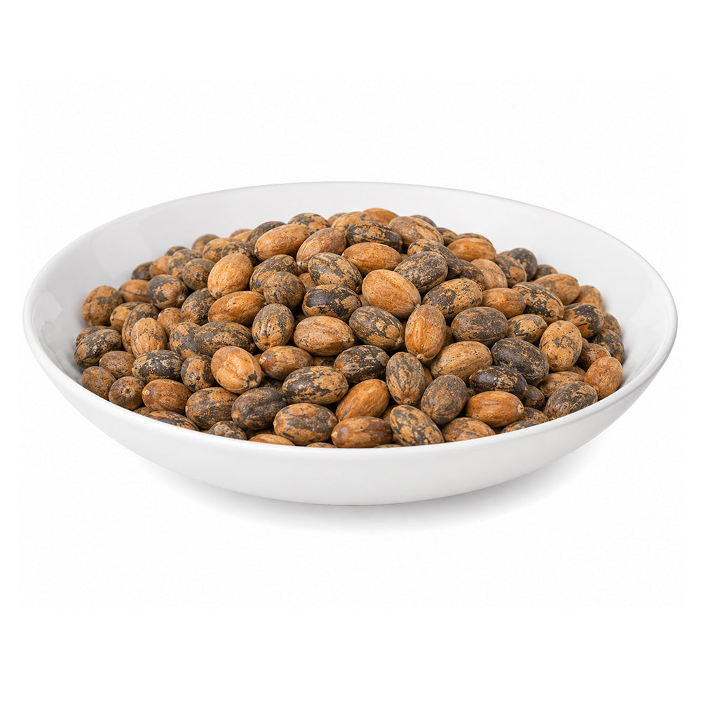 Jamalghota (Beej) (Unpurified) - Croton Tiglium Seeds - Jamalgota - Jayapala - Purging Croton - Jaipal - Jaypal