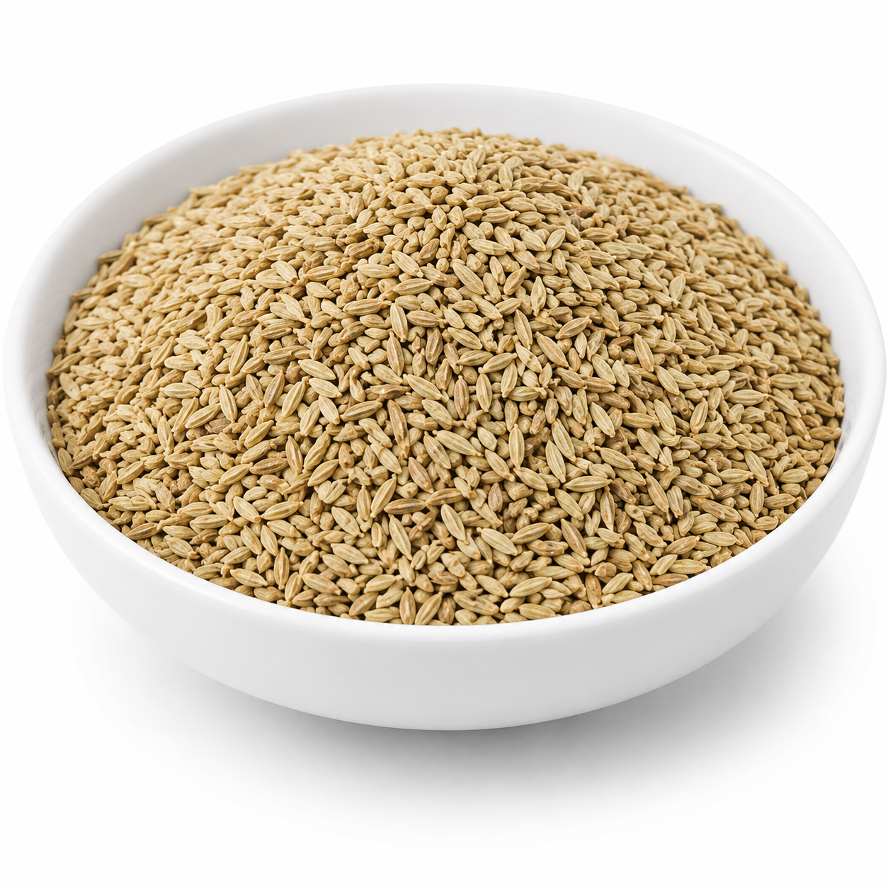 Kasni (Seeds) Regular - Chicory - Cichorium Intybus - Kasini Beej - Kaasni Seeds