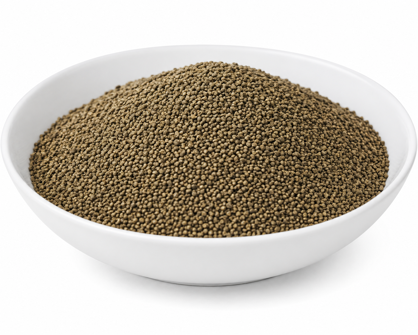 Khurasani Ajwain (Beej) (Regular)- Black Henbane (Seeds) - Khurasani Ajwaain - Parasika Yavani - Hyoscyamus Niger