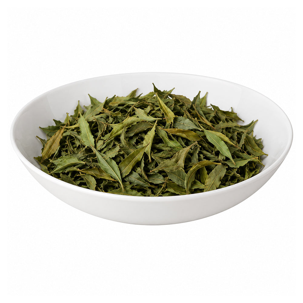 Neem (Leaves) - Neem Patta - Azadirachta Indica - Nimbaka