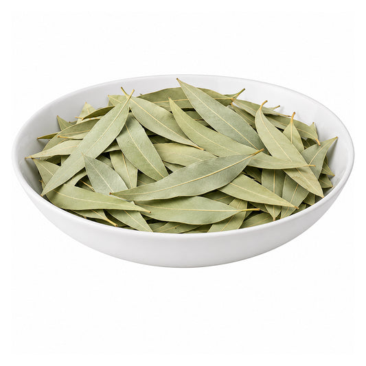 Nilgiri (Patta) - Eucalyptus (Leaves) - Eucalyptus Globulus
