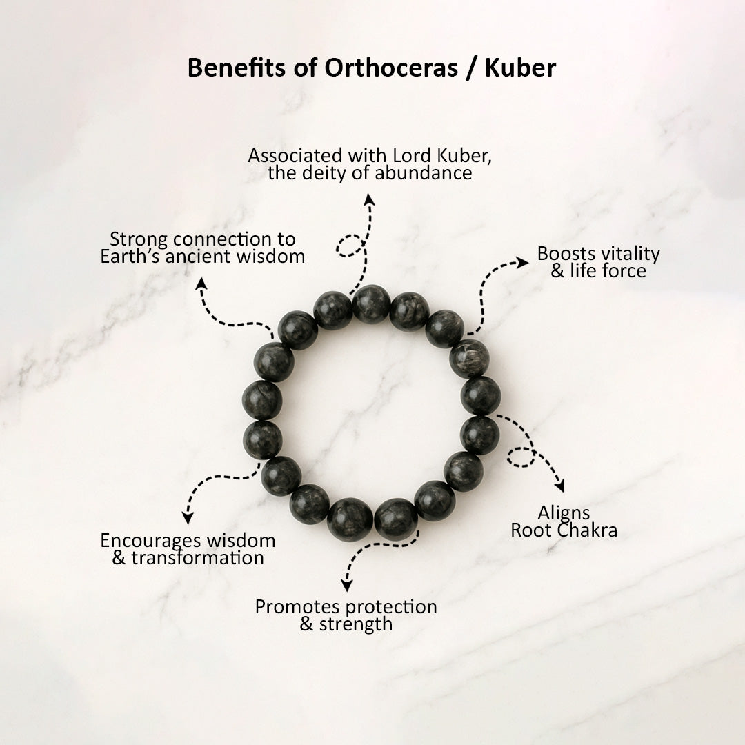 Orthoceras Or Kuber Bracelet