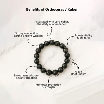 Orthoceras Or Kuber Bracelet