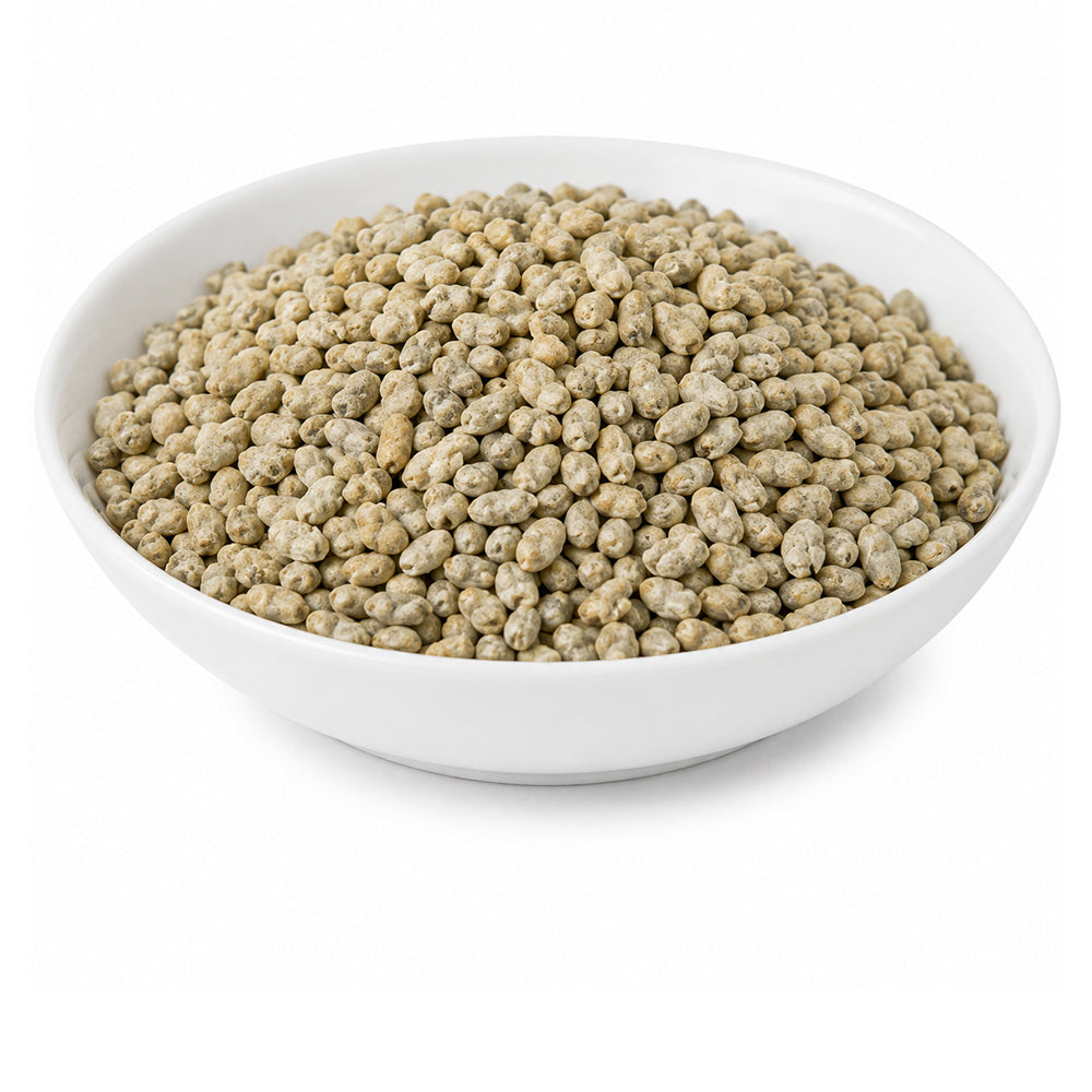 Pamba Dana - Binola Giri - Banola Seeds - Cotton Seeds - Gossypium Herbaceum
