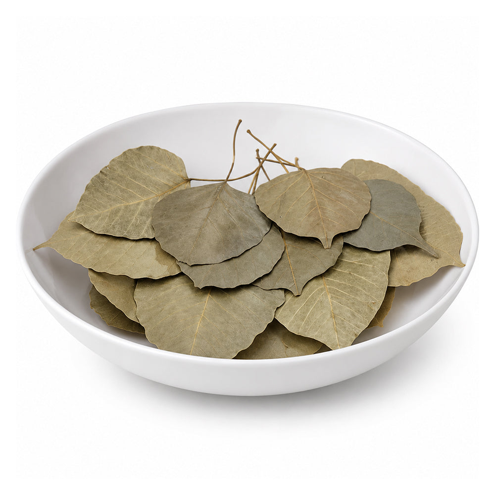 Pipal (Leaves) - Peepal (Patta) - Ficus Religiosa