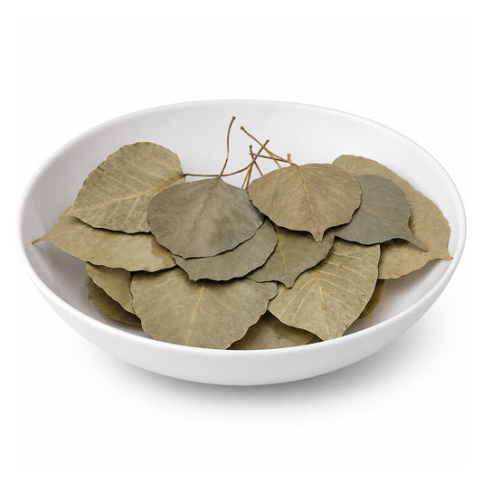 Pipal (Leaves) - Peepal (Patta) - Ficus Religiosa