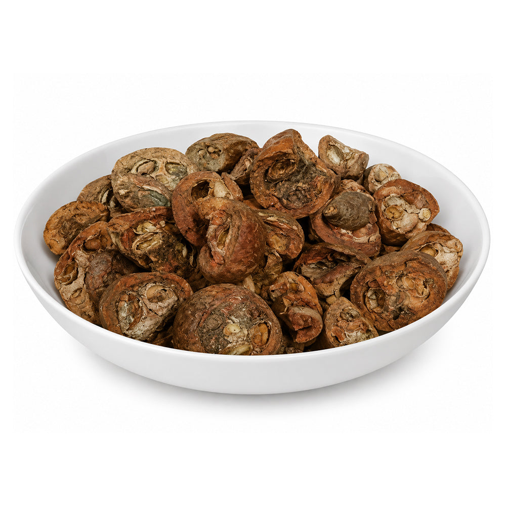 Rudanti - Rudravanti (Phal) - Rudrawanti (Fruit) - Rudanti Fal - Cressa Cretica