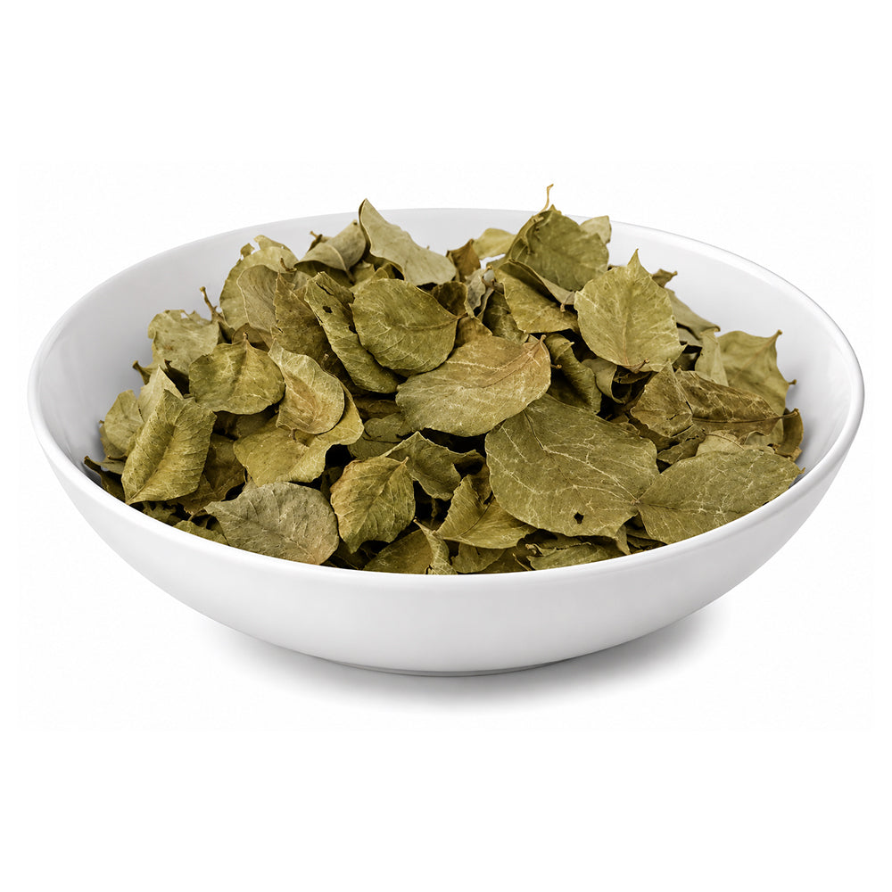 Shisham (Leaves) - Sheesham (Patta) - North Indian Rosewood - Dalbergia Sissoo