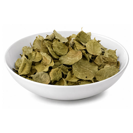 Shisham (Leaves) - Sheesham (Patta) - North Indian Rosewood - Dalbergia Sissoo