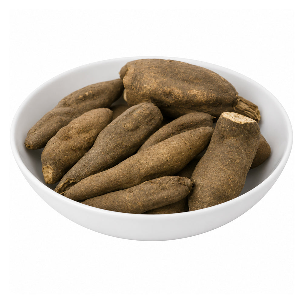 Udsaleev (Tuberous Roots) - White Peony Roots - Udsalib - Ood Saleeb - Ud Saleeb - Paeonia Officinalis